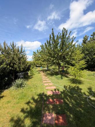 Na predaj rodinný dom Horné Myto, okr. Dunajská Streda - fotografia 31