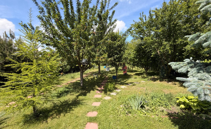 Na predaj rodinný dom Horné Myto, okr. Dunajská Streda - fotografia 33