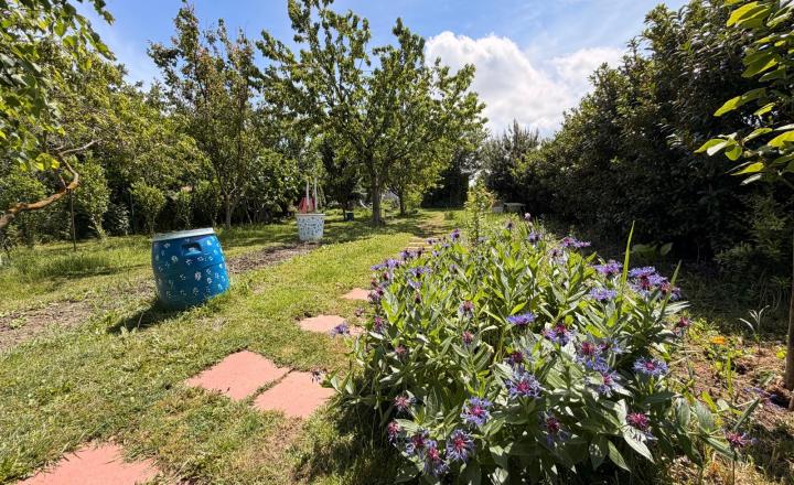 Na predaj rodinný dom Horné Myto, okr. Dunajská Streda - fotografia 32